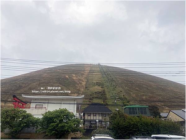 【日本｜伊豆半島】伊豆半島環島，犬走島、河津櫻、大室山、修善