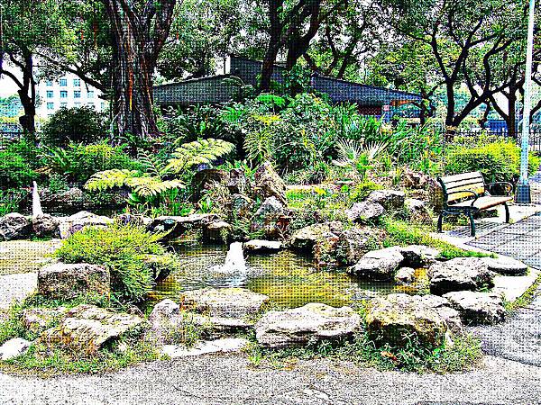 二二八和平公園(台北新公園)