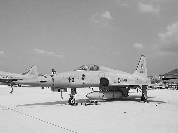 F-5E/F 老虎二型戰鬥機 F-5E/F 老虎二型戰鬥機