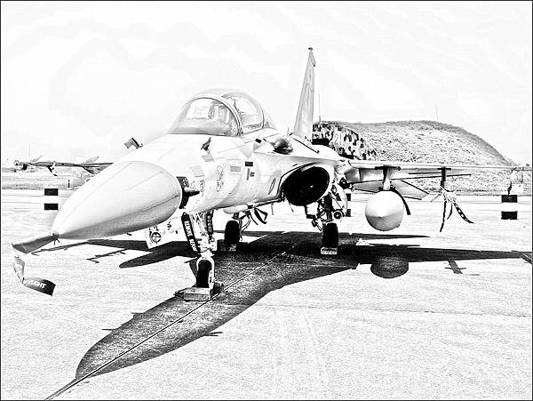 F-CK-1A/B「經國」號戰鬥機 F-CK-1A/B「經國」號戰鬥機