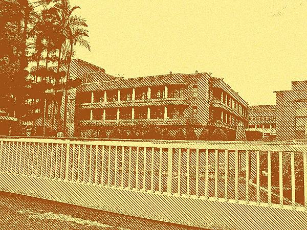 BeFunky_LineArtopia_6503 BeFunky_LineArtopia_6503