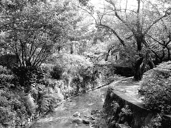 Image00004.jpg Image00004.jpg