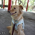 2011070314.jpg