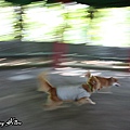 2011070319.jpg