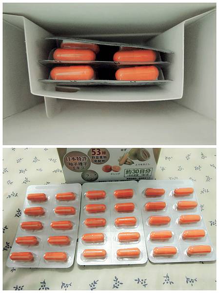 DSCN8457_副本.jpg 試用