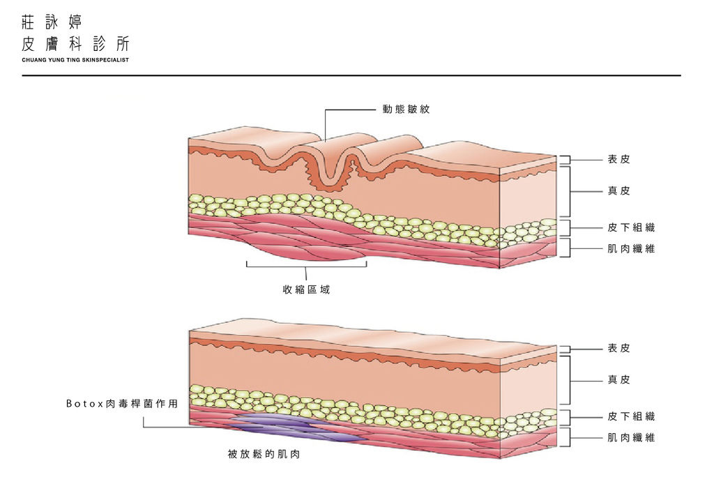 未命名-1-02.jpg