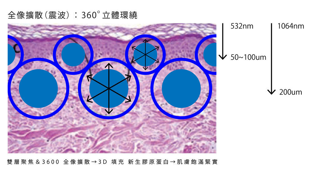 超皮苗-19.jpg