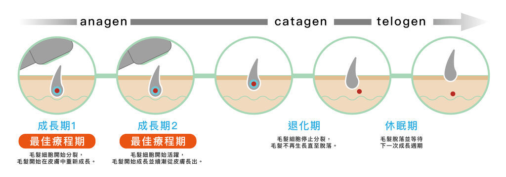 cycle-02.jpg cycle-02.jpg