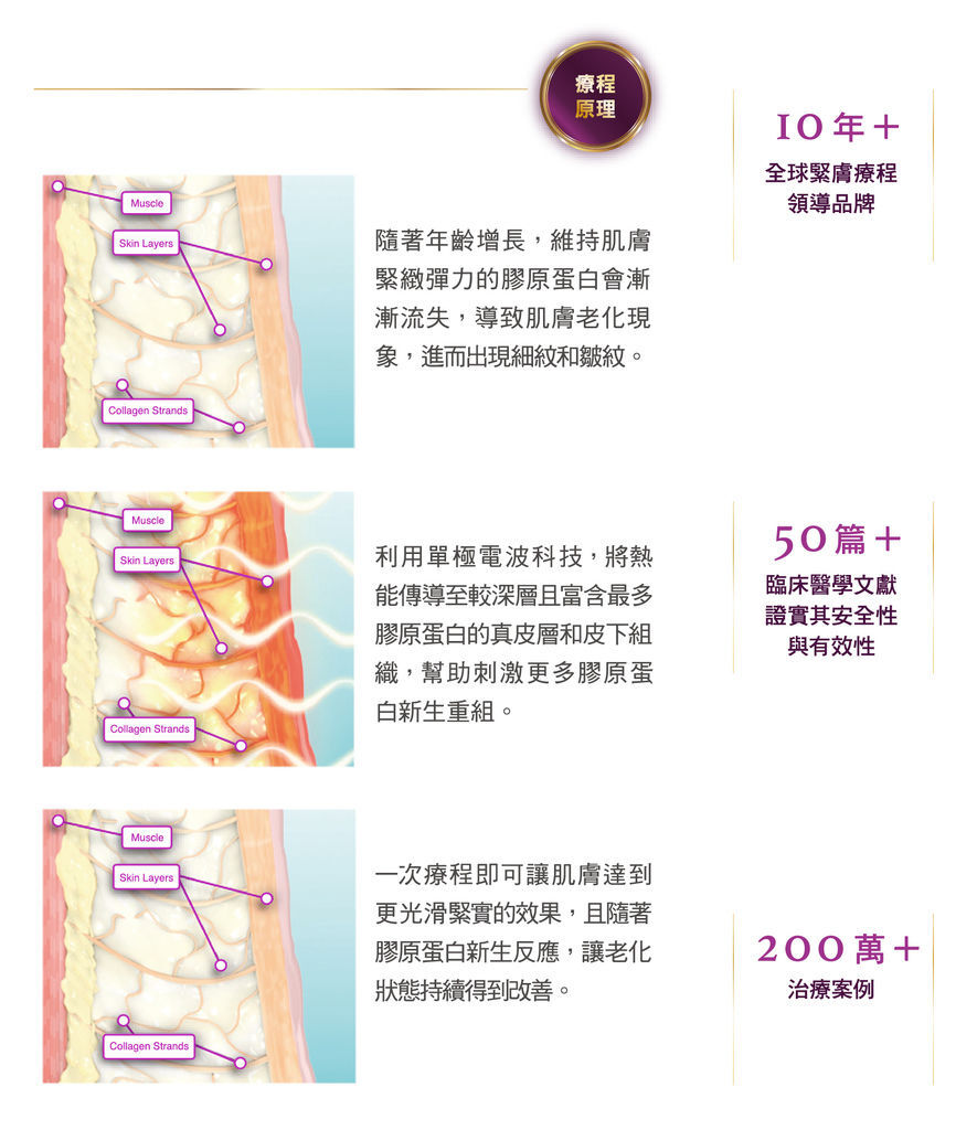 鳳凰電波-03.jpg 鳳凰電波-03.jpg