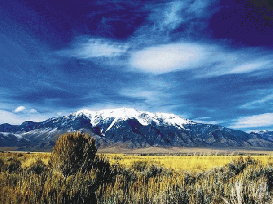 20060811_zzwf91_222251.gif