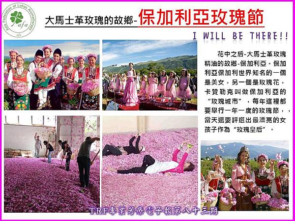 投影片4 投影片4