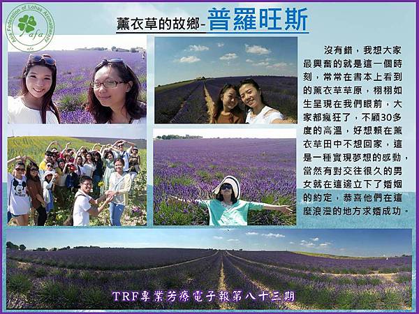 投影片3 投影片3