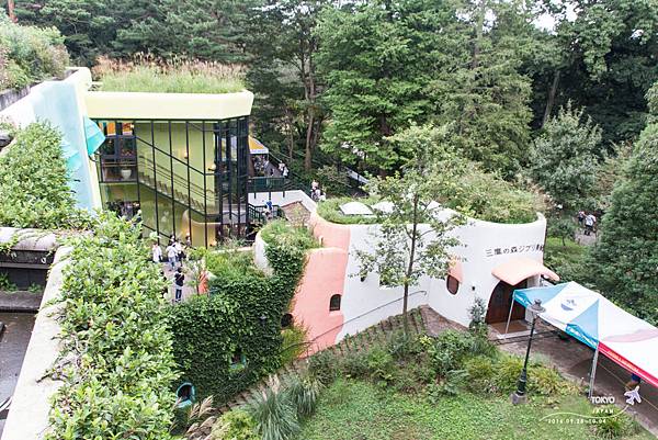 IMG_5712.jpg IMG_5712.jpg