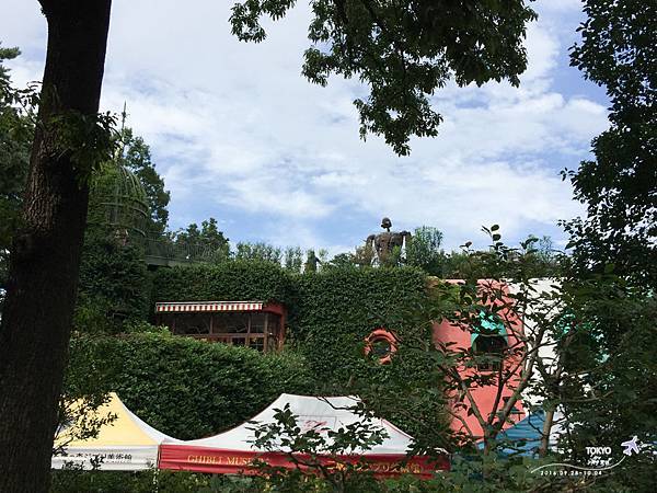 IMG_7018.jpg IMG_7018.jpg