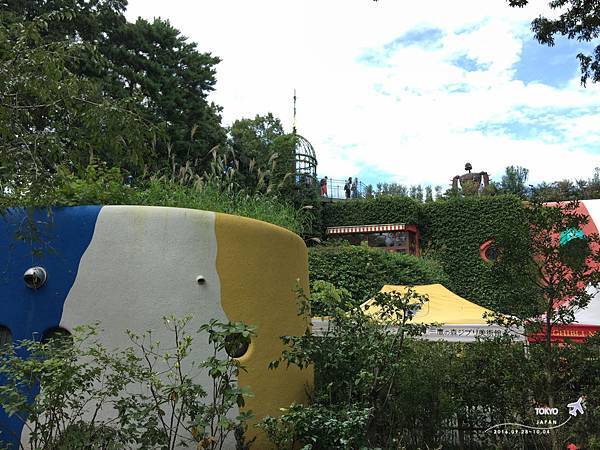 IMG_7019.jpg IMG_7019.jpg