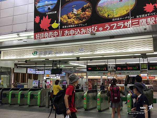 IMG_7033.jpg IMG_7033.jpg