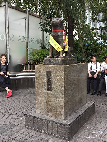 IMG_7039.jpg IMG_7039.jpg