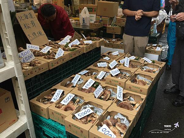 IMG_7079.jpg IMG_7079.jpg