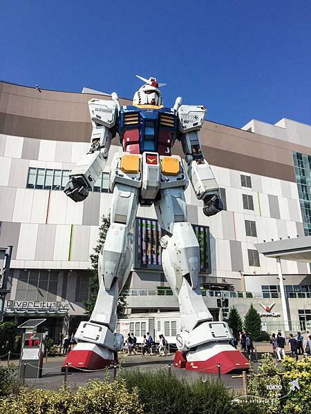 IMG_7129.jpg IMG_7129.jpg