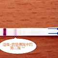第n支驗孕棒