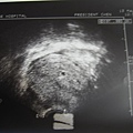 2006.5.13