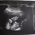 2006.7.1
