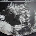 2006.09.05