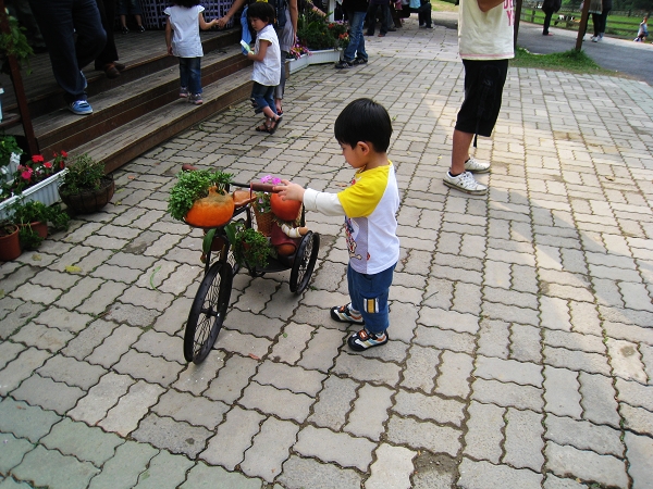 IMG_0014_nEO_IMG.jpg