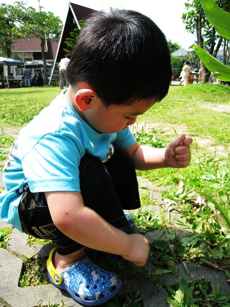 IMG_0087_nEO_IMG.jpg