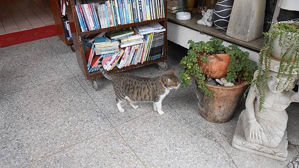 DSCN0192.JPG DSCN0192.JPG