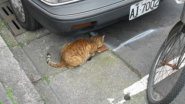 DSCN0578.JPG DSCN0578.JPG