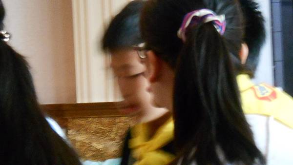 DSCN0794.JPG DSCN0794.JPG