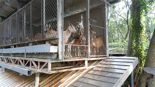 DSCN0798.JPG DSCN0798.JPG