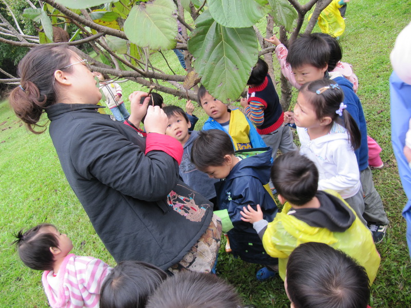 20101115_126 大安森林公園.JPG