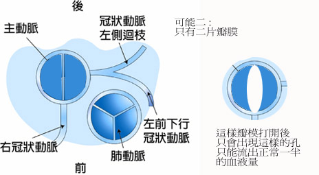 辦模可能二.jpg