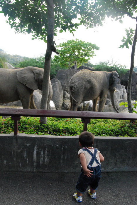 20091106_013 木柵動物園.JPG