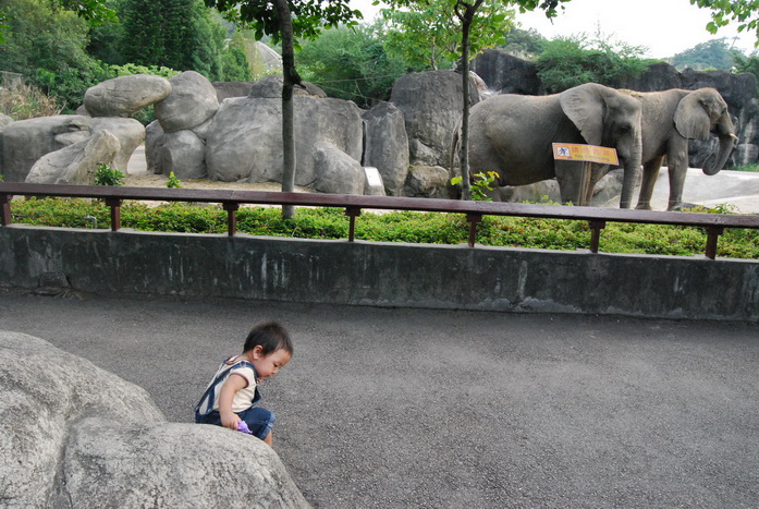 20091106_016 木柵動物園.JPG