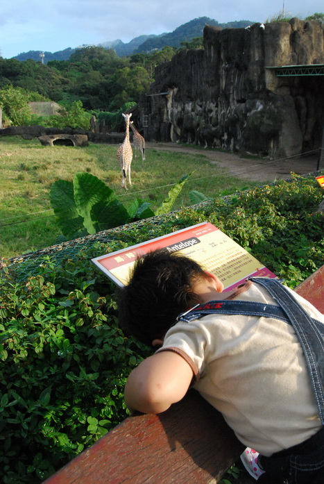 20091106_068 木柵動物園.JPG