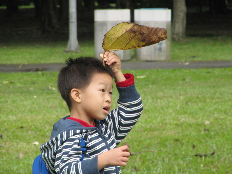 20101115_090 大安森林公園.JPG