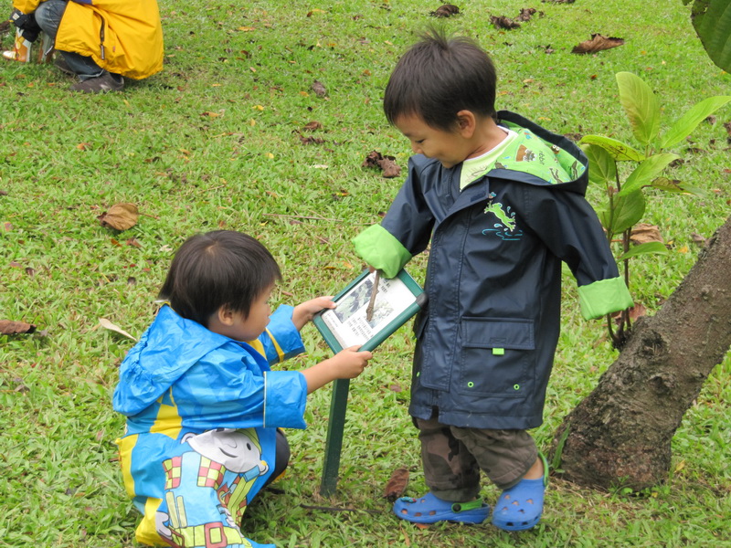 20101115_153 大安森林公園.JPG