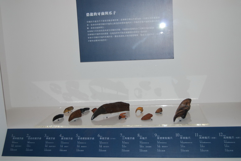 20091224_034 中正紀念堂恐龍展.JPG