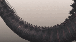16.gif