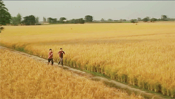 7.gif