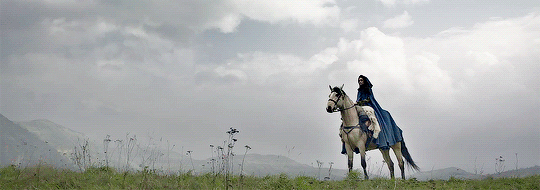 13.gif