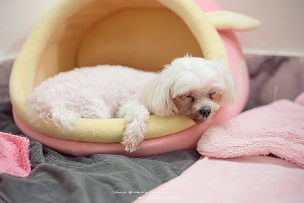 IMG_5165.jpg IMG_5165.jpg