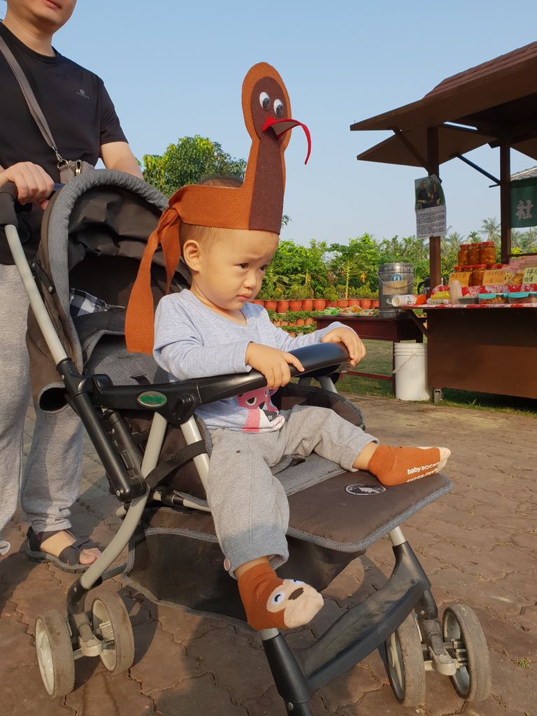 20181215_085400.jpg 20181215_085400.jpg