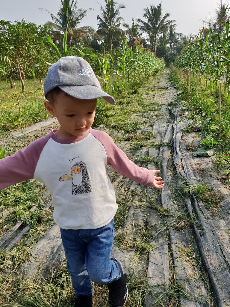 20181215_093541.jpg 20181215_093541.jpg