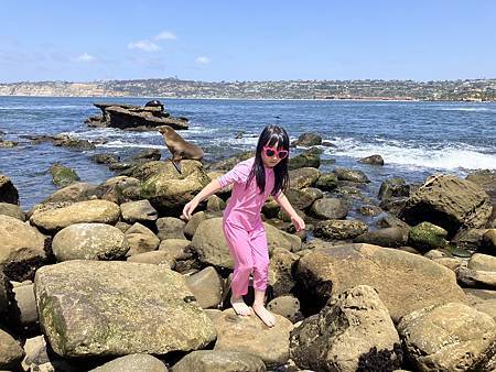 <2024加州聖地牙哥>隨處可見海獅海豹的海灘～拉霍亞La 