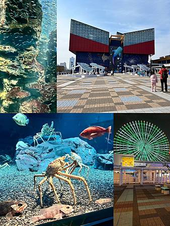 2025關西海遊館、天保山購物中心、摩天輪、丹頂茶碗蒸拉