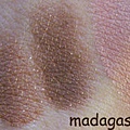 Stila_brown.jpg